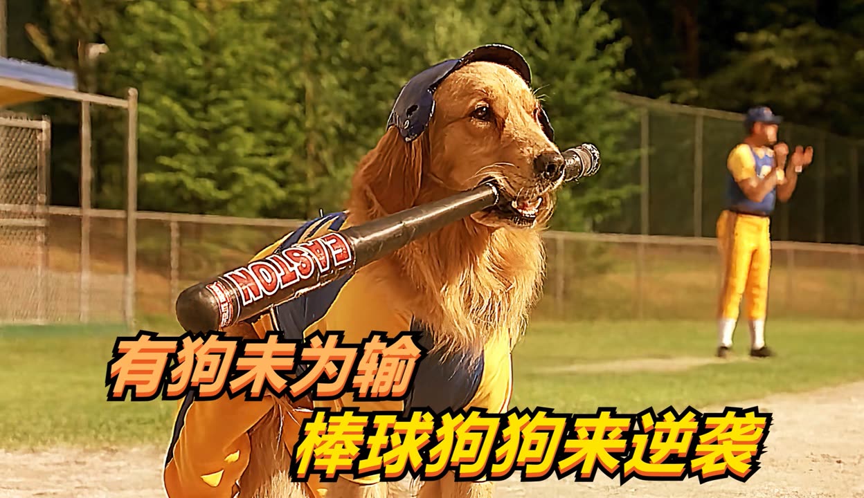 棒球场外新闻不断，话题热度爆表