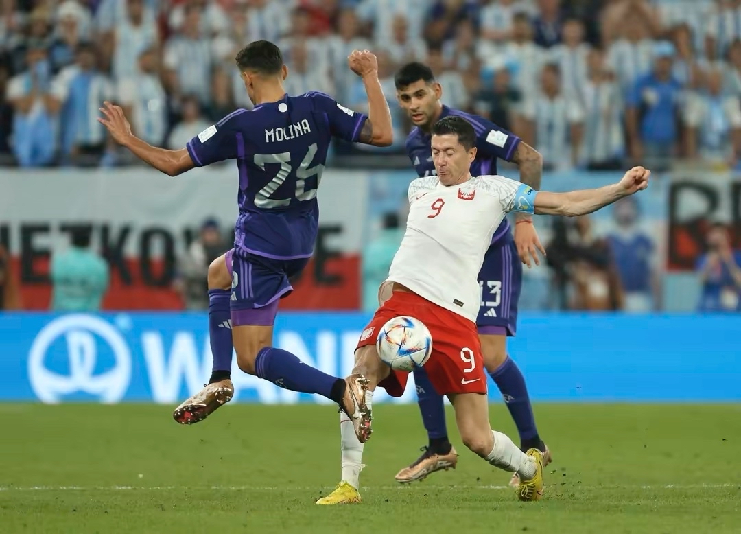 瑞典队力克波兰队,张本智和惊艳四座 瑞典队力克波兰队,张本智和惊艳四座