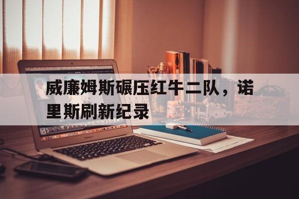 威廉姆斯碾压红牛二队，诺里斯刷新纪录