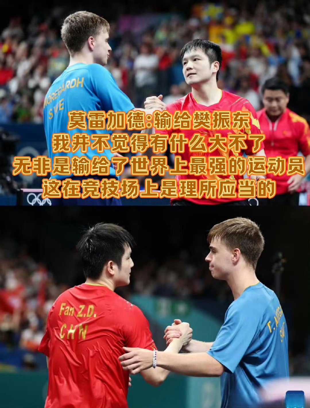 德国队轻取葡萄牙队，樊振东关键制胜