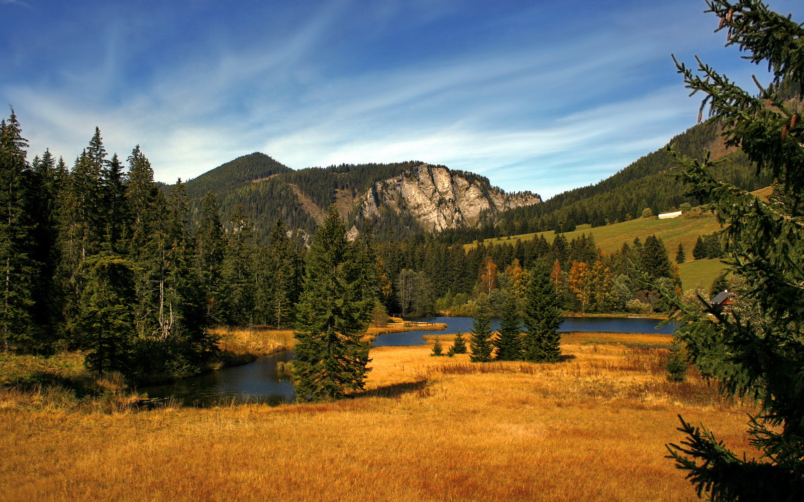 统治力的双重奏鸣，篮网团队风暴席卷火箭，利拉德孤星点亮胜利之路