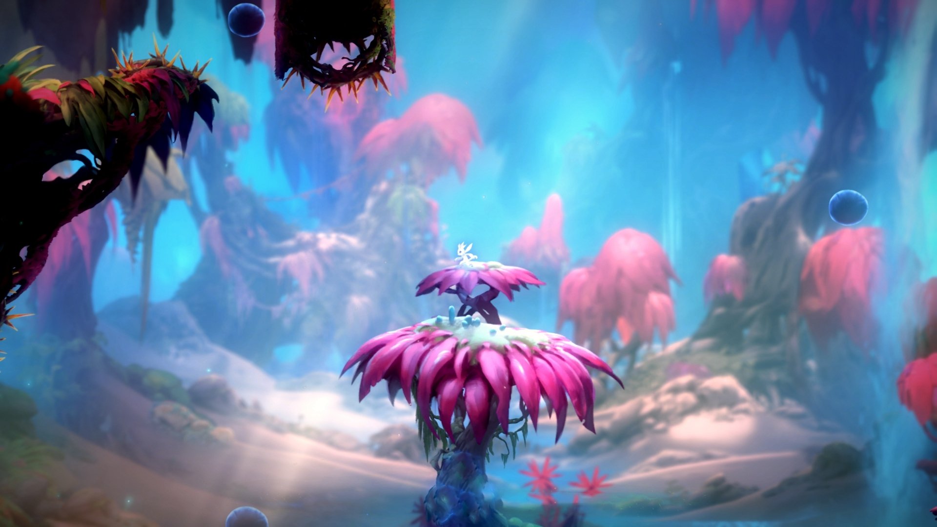 西部狂飙日，东契奇致命一击与约基奇的全能统治