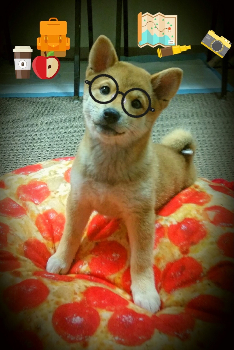 草地的独白，温网如何以沉默的力量完胜拉沃尔杯的喧嚣—兼论德约科维奇的火热状态