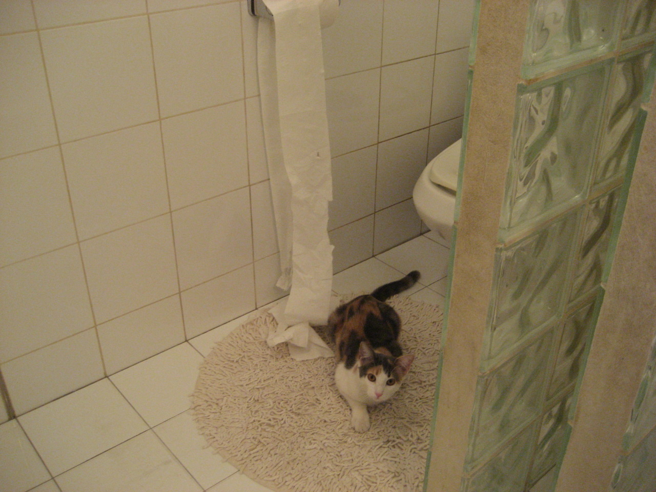 当雄鹿字母哥空降马刺主场,与广厦队来一场虚构的巅峰对决,解密大场面先生的终极定义