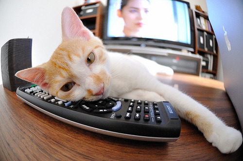 飓风过境，锡安在失控边缘一手导演活塞加时狂澜