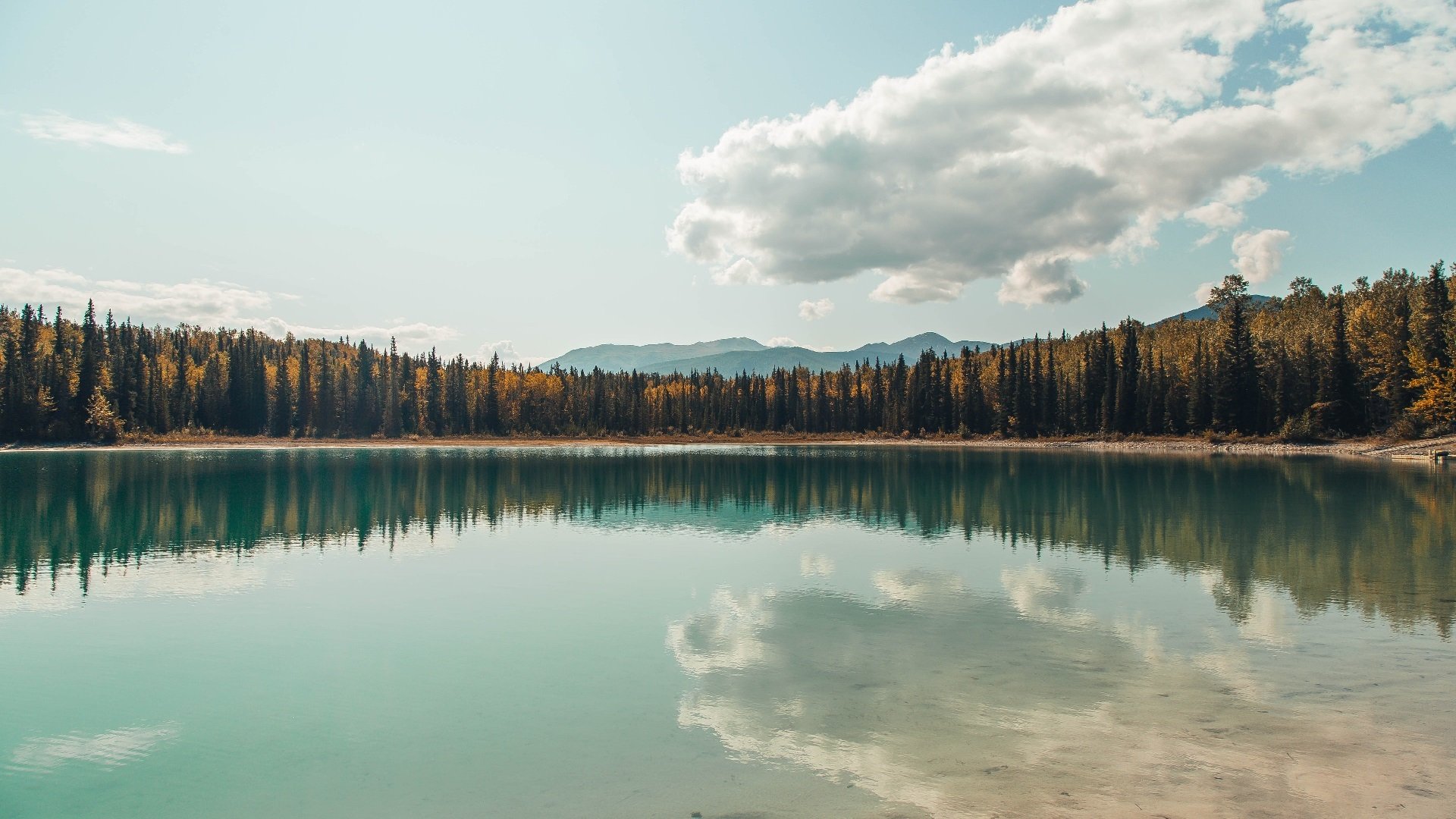 钢铁牢笼，拜仁如何用钢筋混凝土防线锁死荷兰风暴？