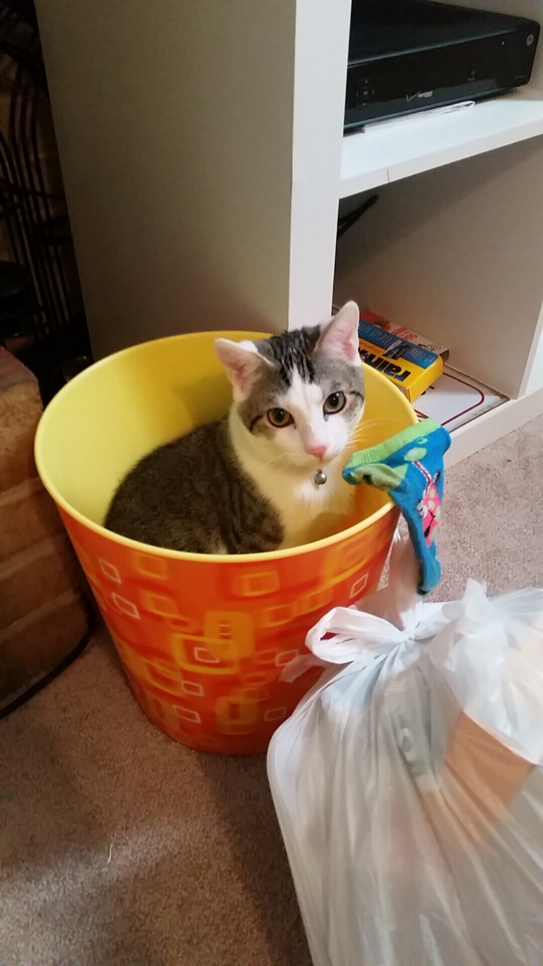 长城对话圣西罗，当库尔图瓦身披蓝袍化身守护神