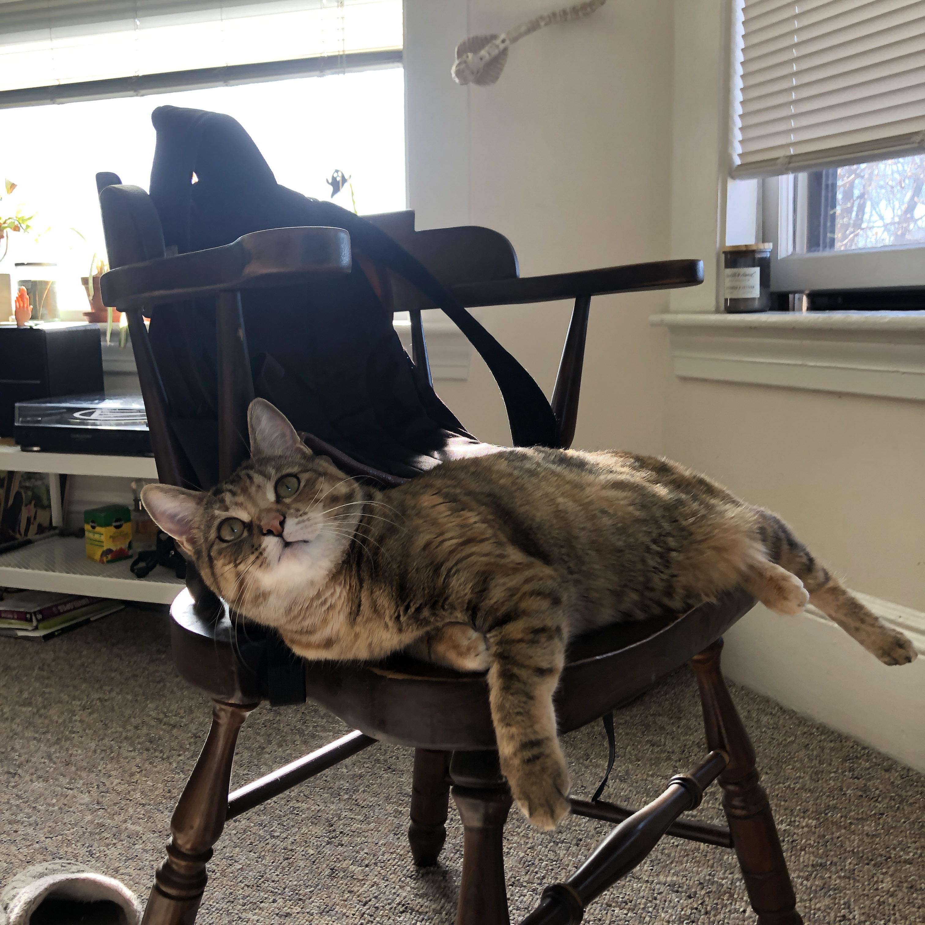 西甲国家德比焦点战，马德里竞技战术强压尼日利亚新星，巴萨遭遇阻击