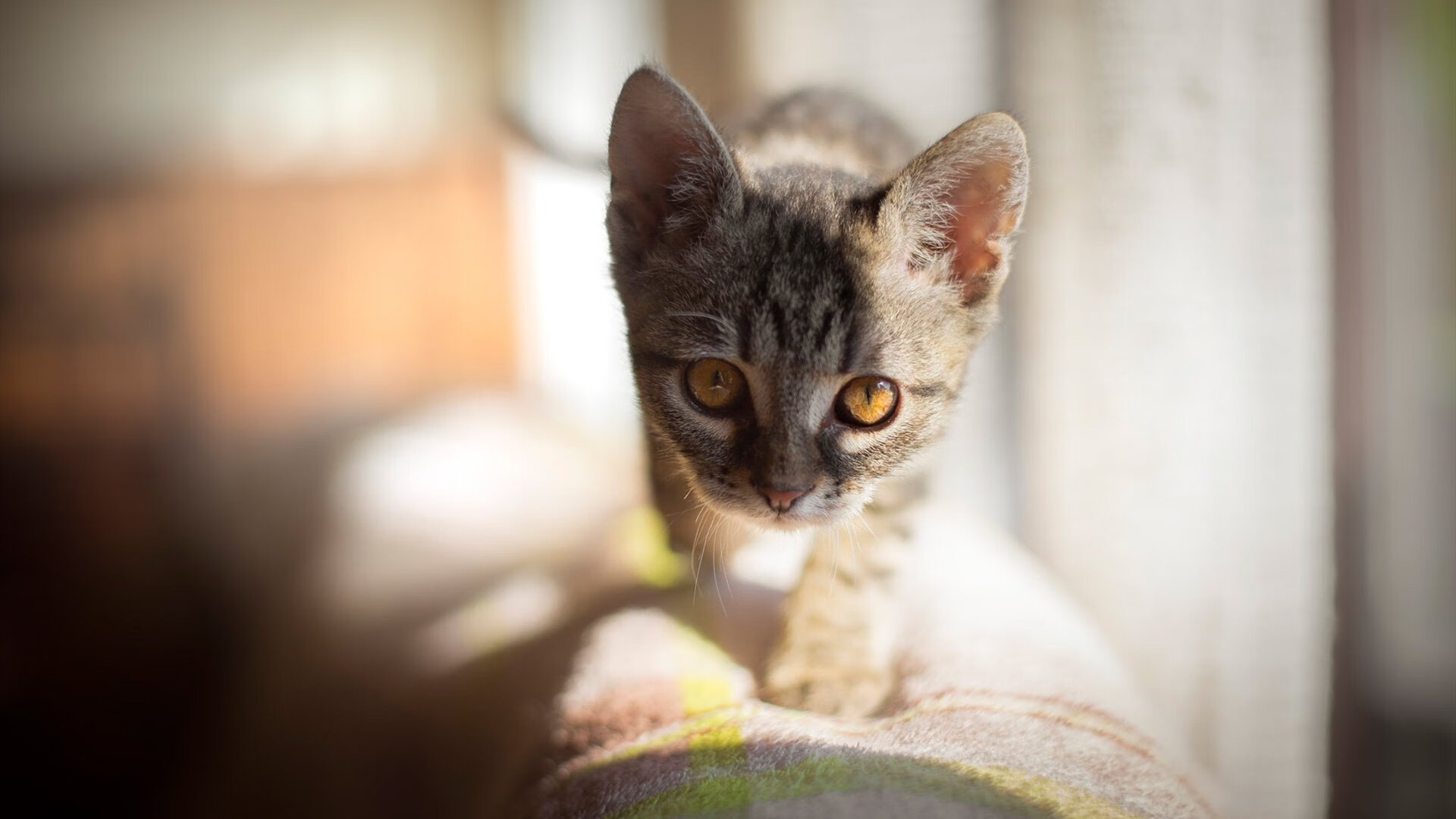 锁死空间的密码，若日尼奥的静态绞杀与土耳其动态闪电的胜利同源