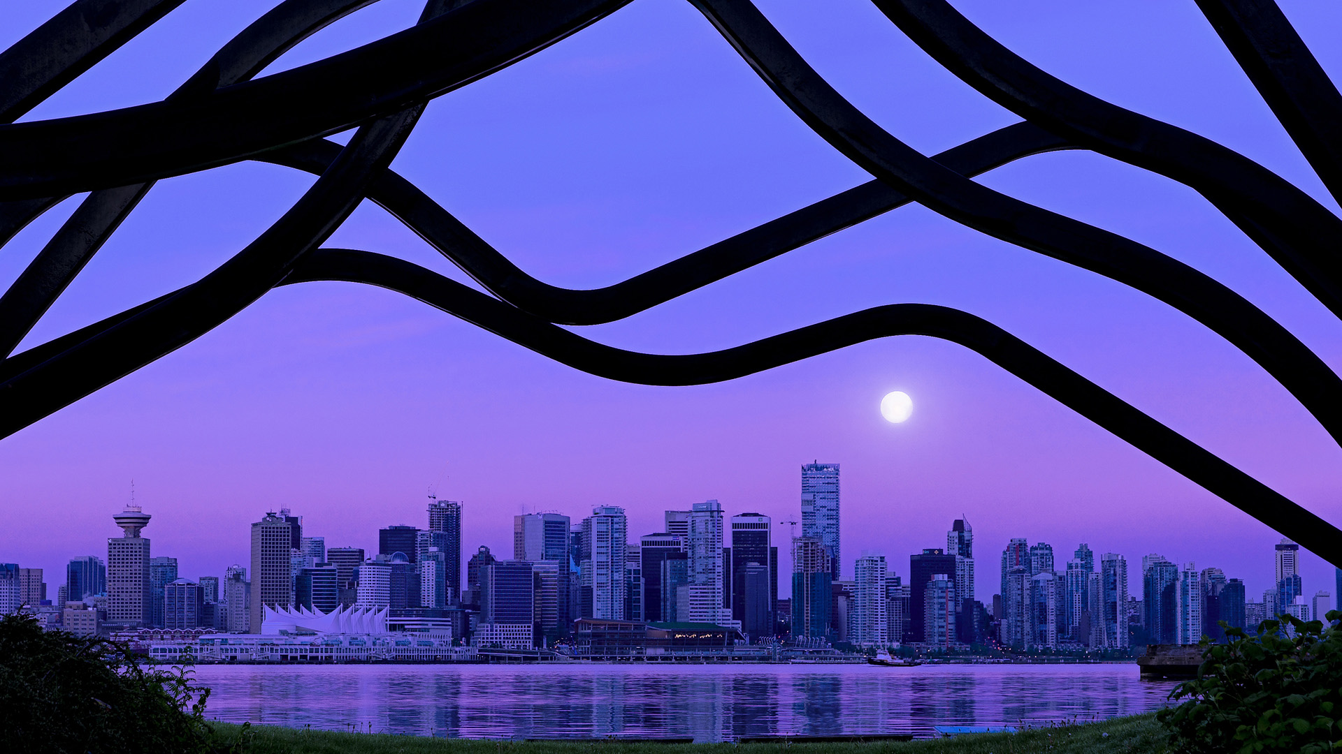 奥利维耶，大漠孤烟直射桑巴星光