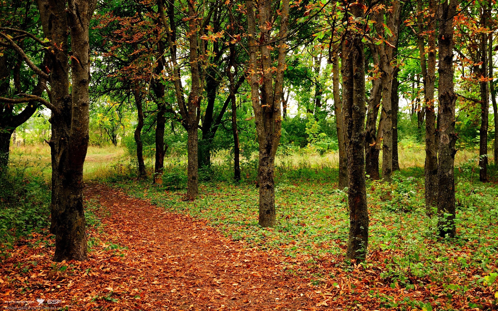 燃烧与梅西，一场关于永恒与瞬间的加冕