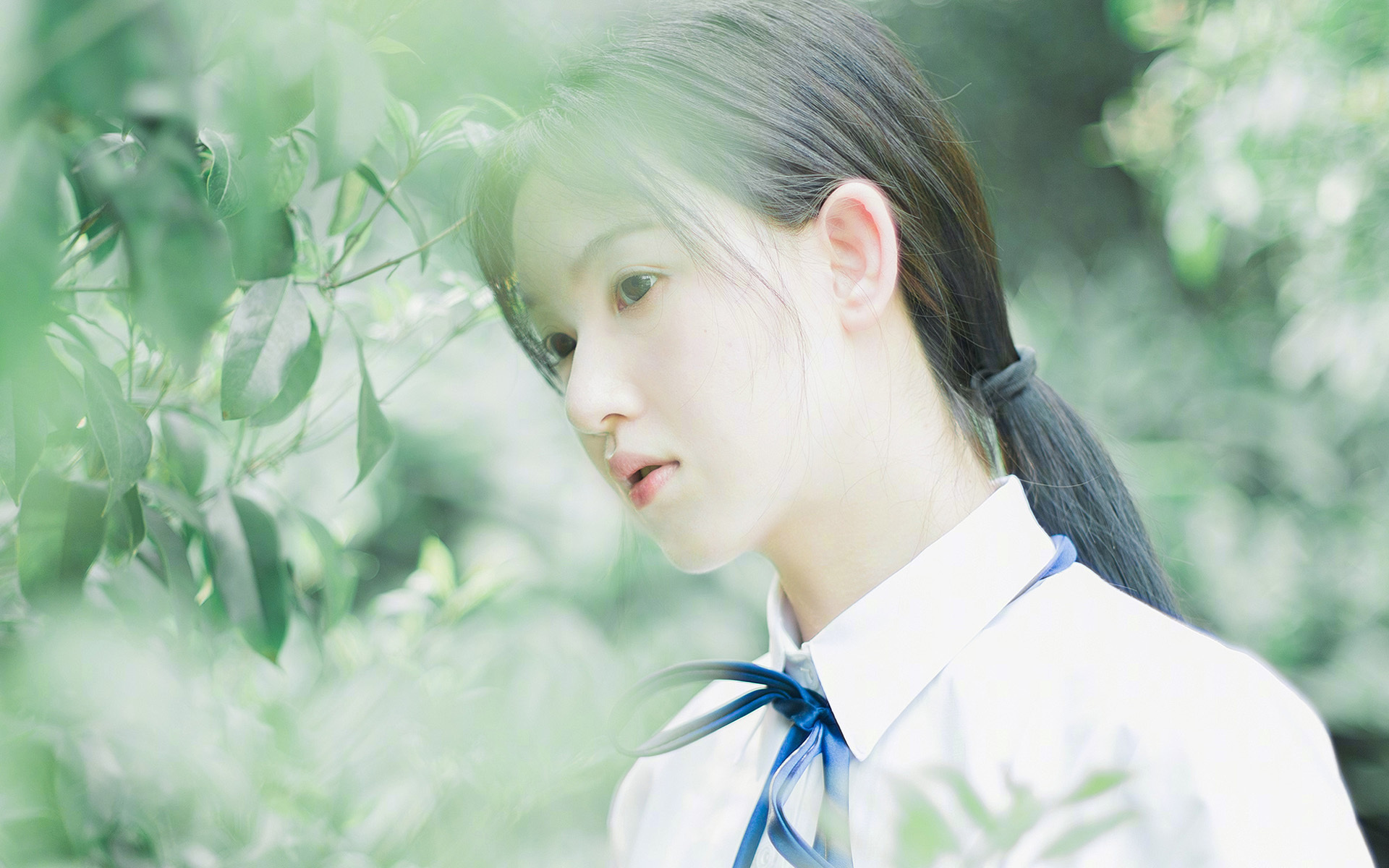 独舞者，当步行者的节奏被一个音符主宰