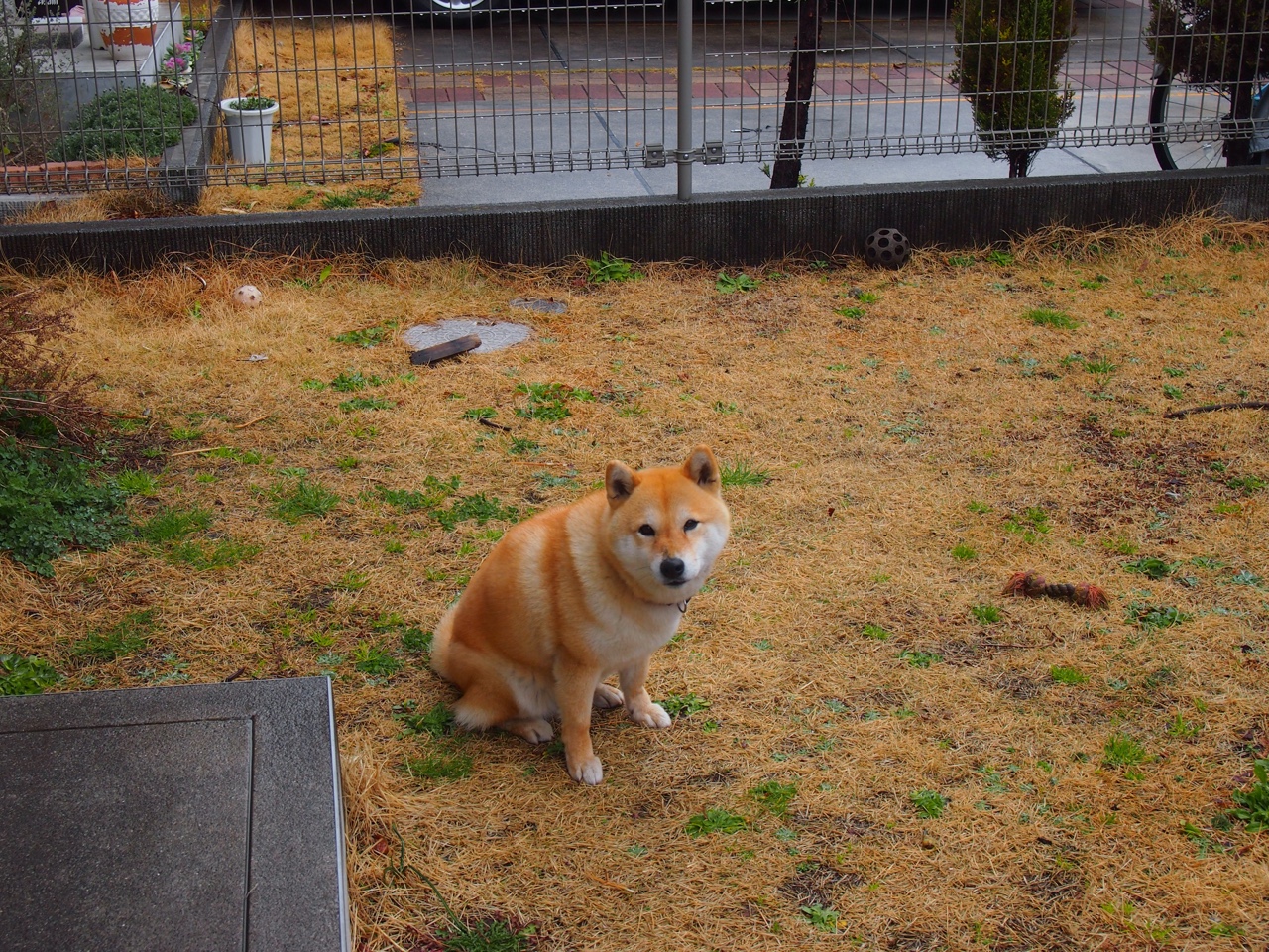 穿越时空的对决,拉文狂飙引领雷霆跨联赛完胜新疆