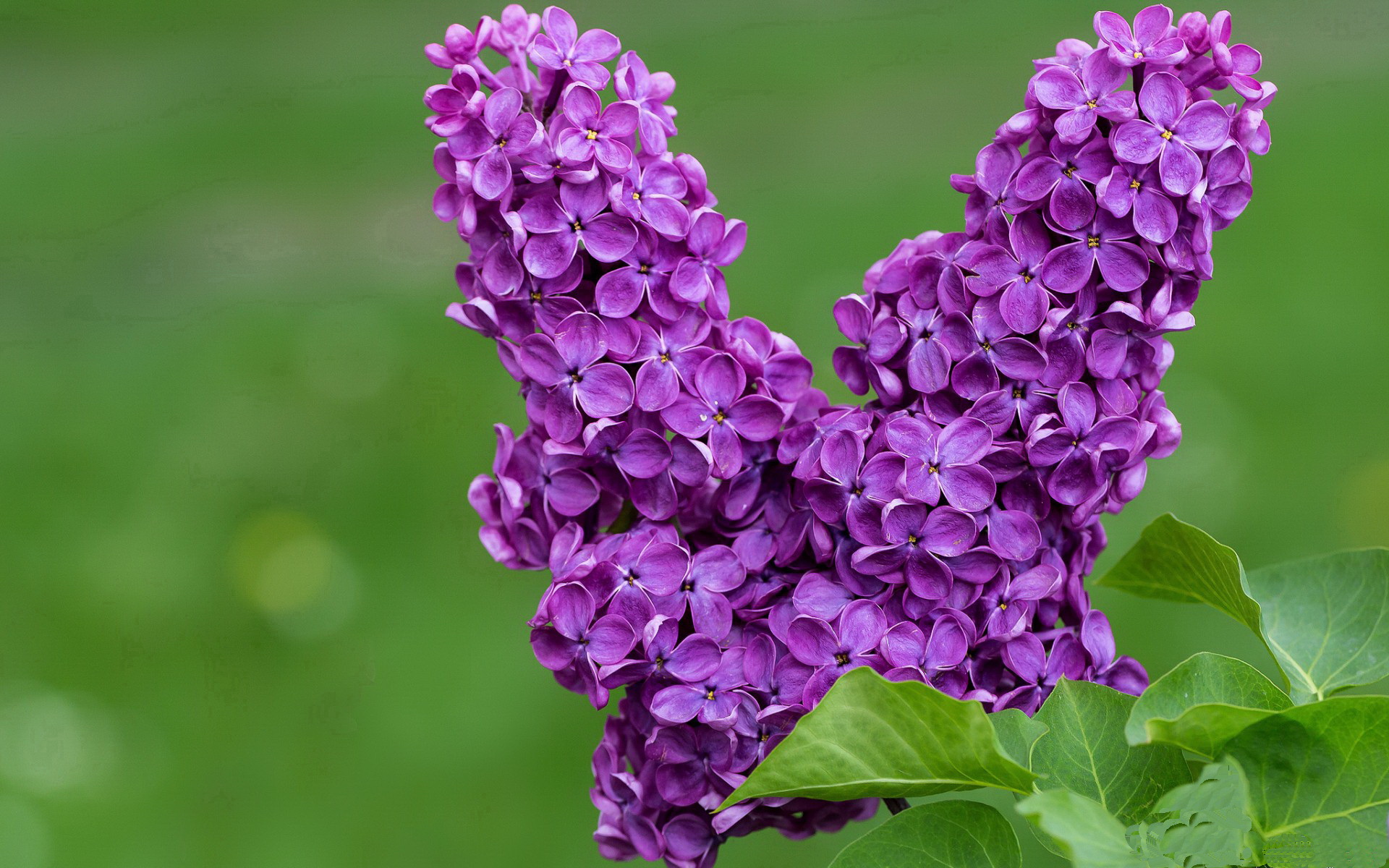 黑金风暴，伪蓝神话覆灭之夜，唯一特奥如何撕碎莱比锡法则？