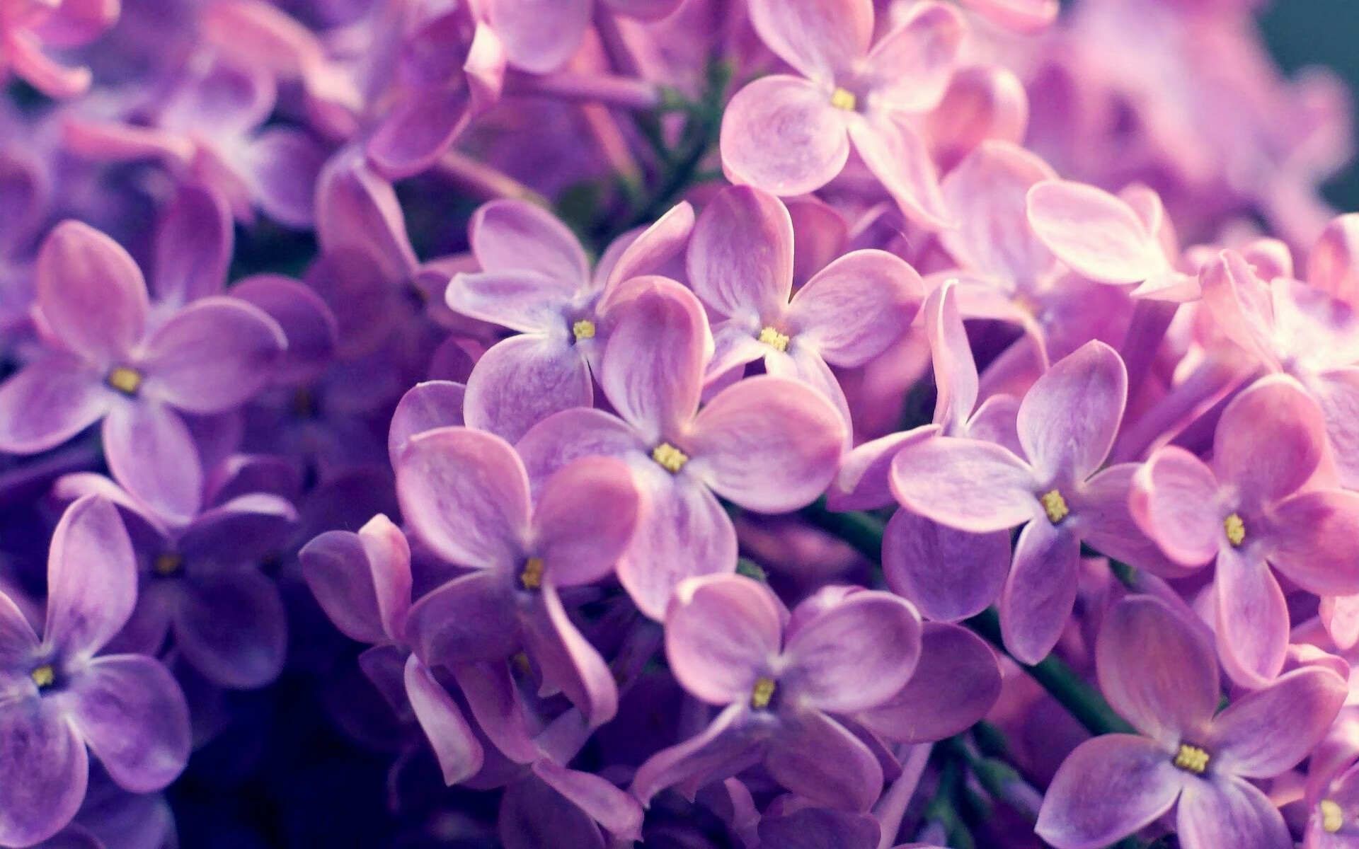 黑金风暴，伪蓝神话覆灭之夜，唯一特奥如何撕碎莱比锡法则？