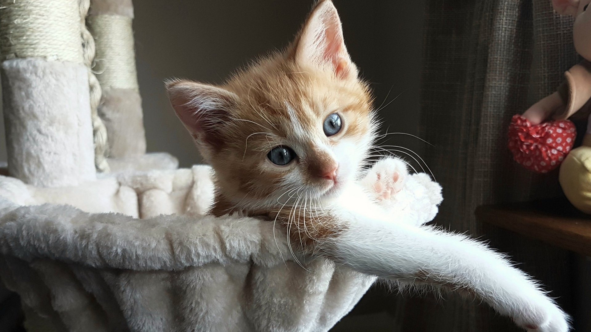 夜与雪的交锋,当福克斯点燃战火,尼克斯用冰封末节带走胜利