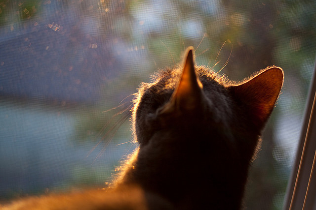 扩展思维,文章标题构思