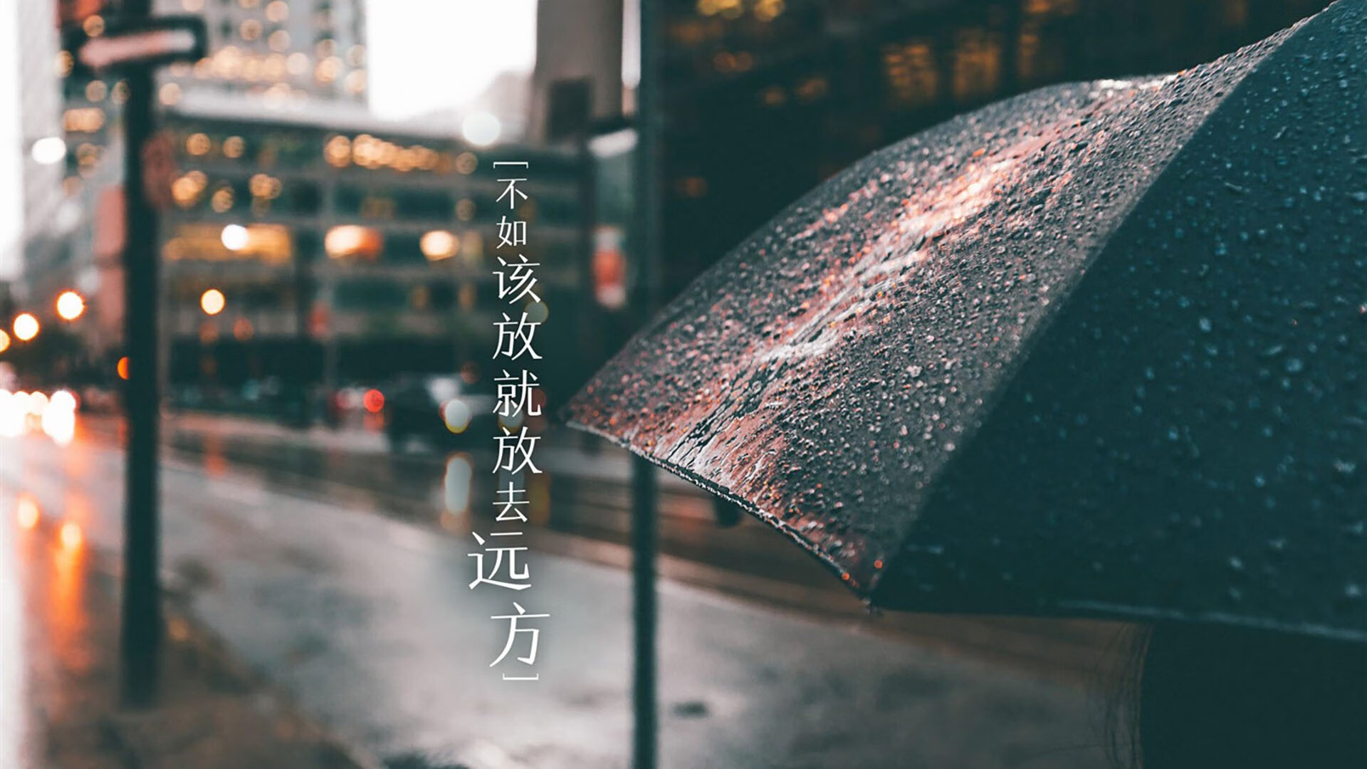 枫叶国破冰,2026世界杯焦点战,加拿大击碎保加利亚,阿诺德独舞点燃北境之光