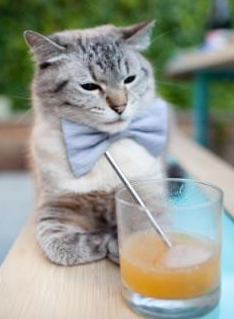 坎塞洛的右脚,划破基多高原的黄昏—2026世界杯B组喀麦隆vs厄瓜多尔唯一战记