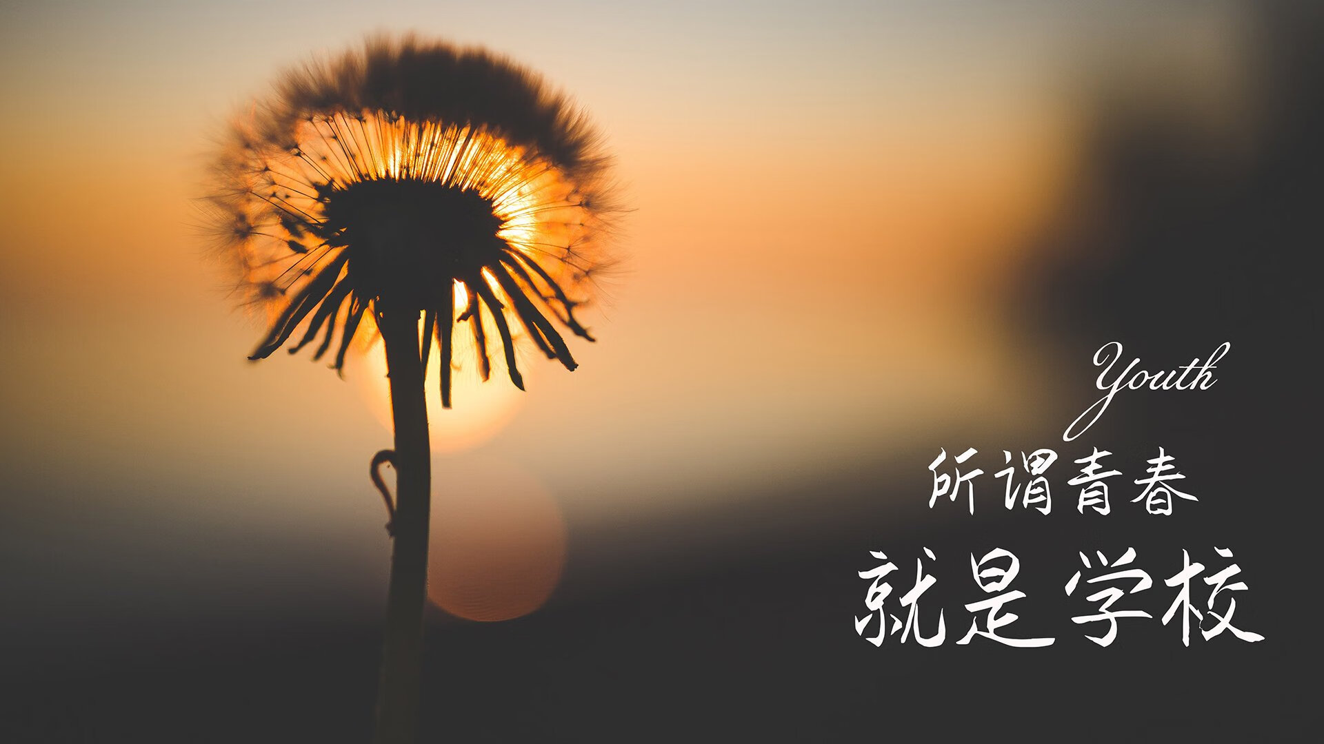 唯一之战,德布劳内主宰命运,巴西力克斯洛伐克,H组焦点战燃爆2026世界杯