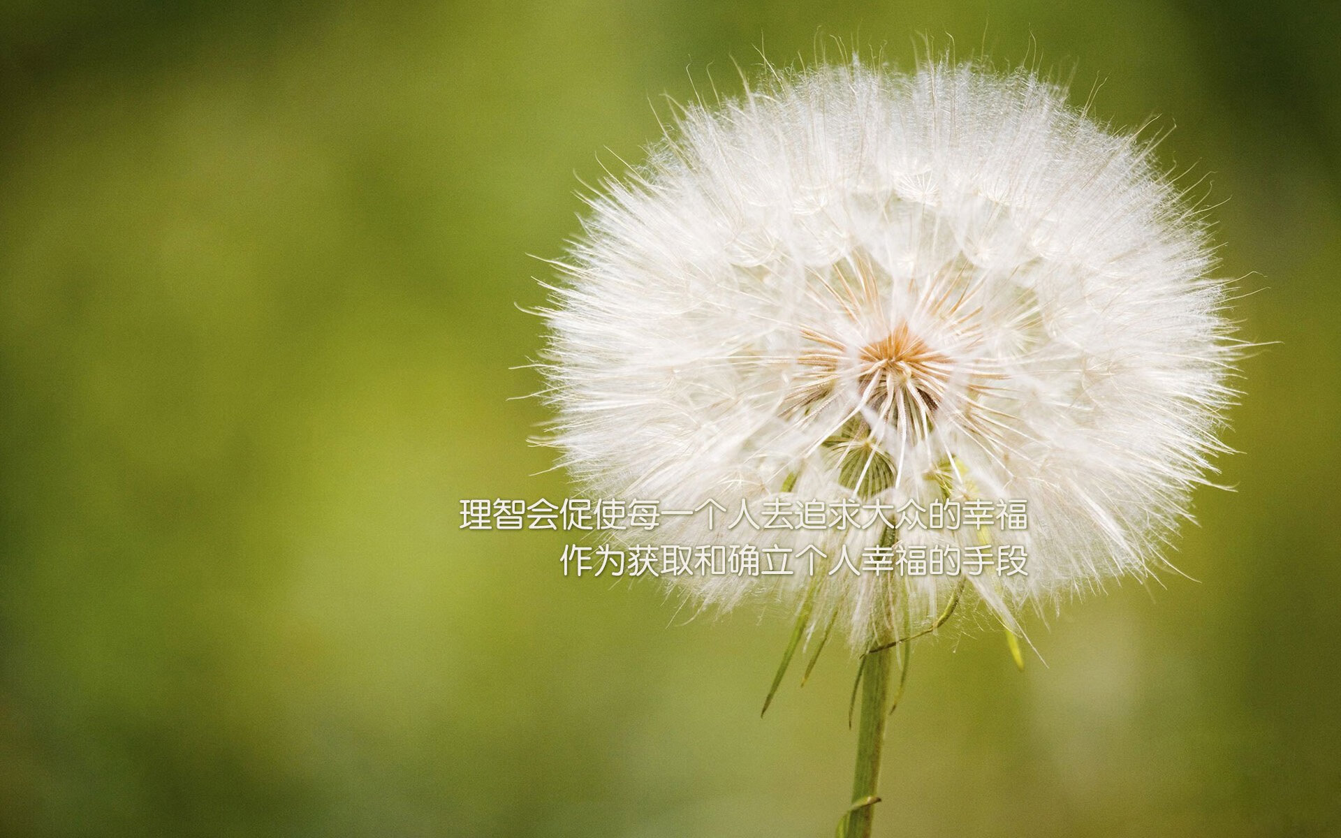 爱游戏-逆转之战，德意志战车碾过越南，孙兴慜独舞点燃世界杯头名之争